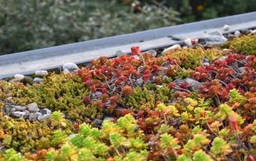 the cost of Worlington green roof installation