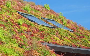 Worlington living roof systems