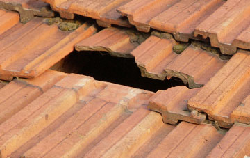 roof repair Worlington