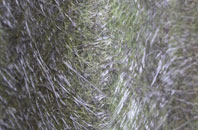 Worlington fibreglass roof work